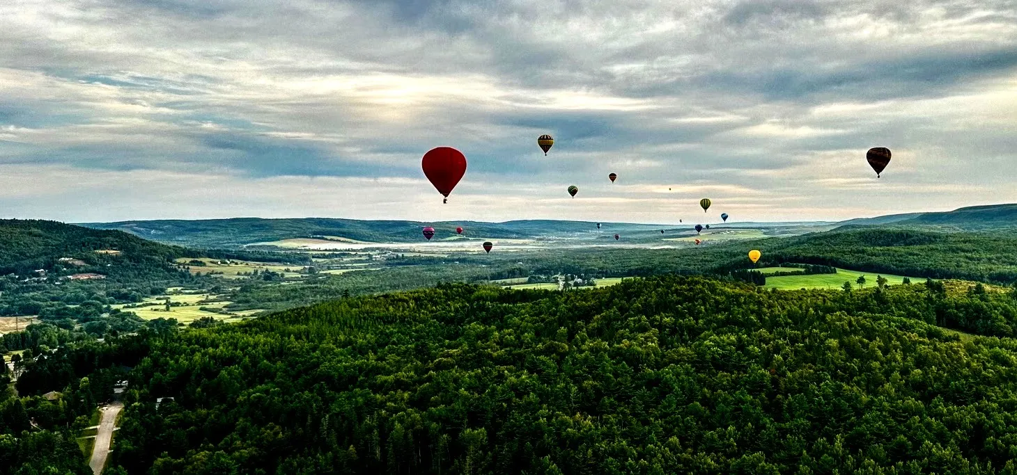 Vue panoramique