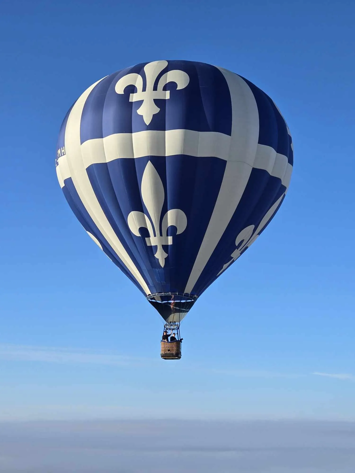 Le Fleurdelisé