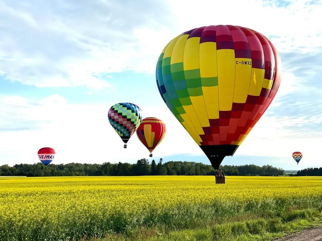 Survol d'un champ de canola en montgolfière